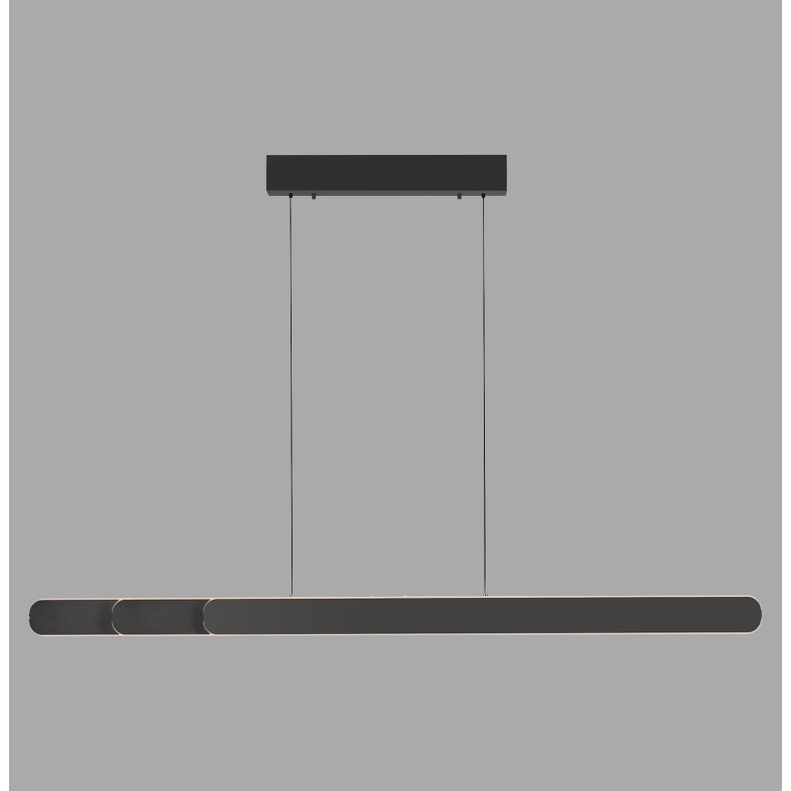 Schöner Wohnen 12577-18 - Lustră LED dimabilă pe cablu ADRIANA ROUND 2xLED/24W/230V 2700/3000/3500/4000/5000K 160 cm neagră