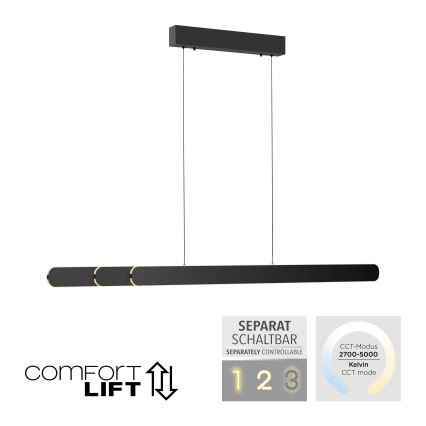 Schöner Wohnen 12577-18 - Lustră LED dimabilă pe cablu ADRIANA ROUND 2xLED/24W/230V 2700/3000/3500/4000/5000K 160 cm neagră