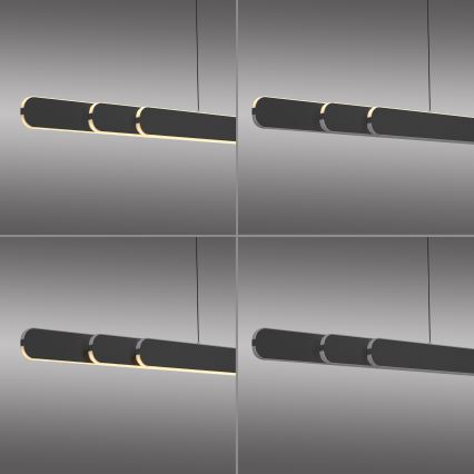 Schöner Wohnen 12577-18 - Lustră LED dimabilă pe cablu ADRIANA ROUND 2xLED/24W/230V 2700/3000/3500/4000/5000K 160 cm neagră