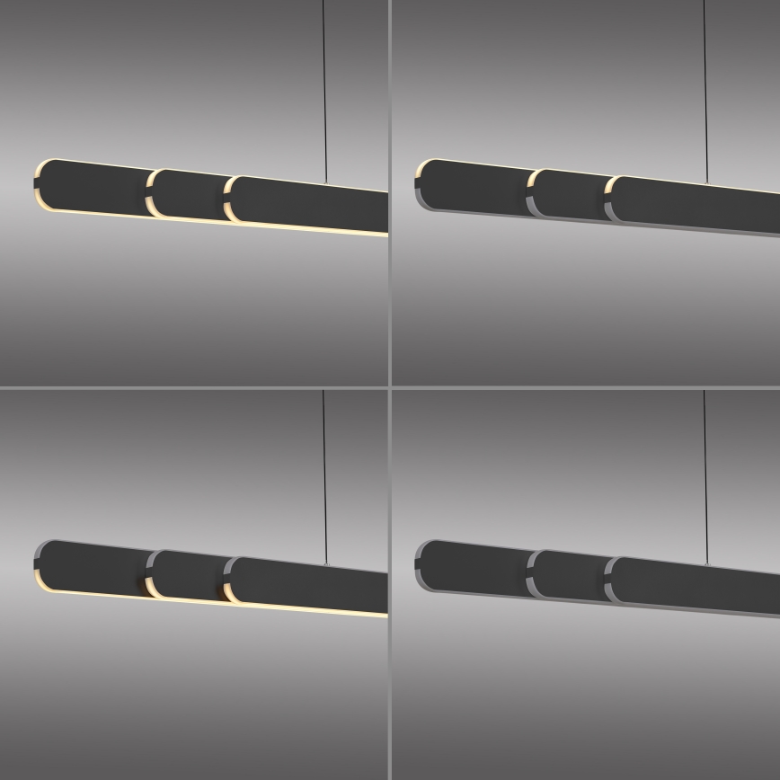 Schöner Wohnen 12577-18 - Lustră LED dimabilă pe cablu ADRIANA ROUND 2xLED/24W/230V 2700/3000/3500/4000/5000K 160 cm neagră