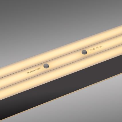 Schöner Wohnen 12577-18 - Lustră LED dimabilă pe cablu ADRIANA ROUND 2xLED/24W/230V 2700/3000/3500/4000/5000K 160 cm neagră