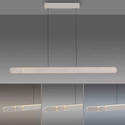 Schöner Wohnen 12577-39 - Lustră LED dimabilă pe cablu ADRIANA ROUND, 2xLED/24W/230V, 2700/3000/3500/4000/5000K, 160 cm, gri