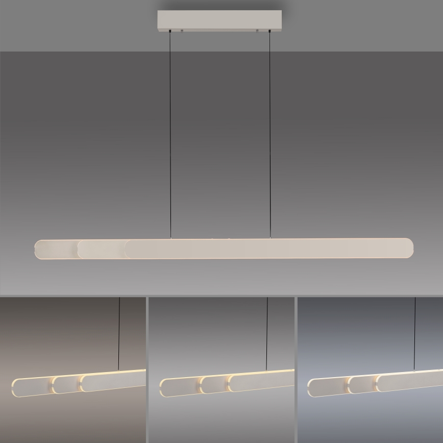 Schöner Wohnen 12577-39 - Lustră LED dimabilă pe cablu ADRIANA ROUND, 2xLED/24W/230V, 2700/3000/3500/4000/5000K, 160 cm, gri