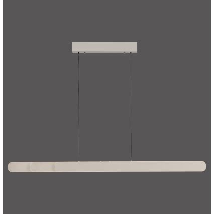 Schöner Wohnen 12577-39 - Lustră LED dimabilă pe cablu ADRIANA ROUND, 2xLED/24W/230V, 2700/3000/3500/4000/5000K, 160 cm, gri