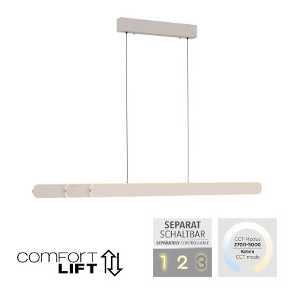 Schöner Wohnen 12577-39 - Lustră LED dimabilă pe cablu ADRIANA ROUND, 2xLED/24W/230V, 2700/3000/3500/4000/5000K, 160 cm, gri