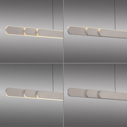 Schöner Wohnen 12577-39 - Lustră LED dimabilă pe cablu ADRIANA ROUND, 2xLED/24W/230V, 2700/3000/3500/4000/5000K, 160 cm, gri