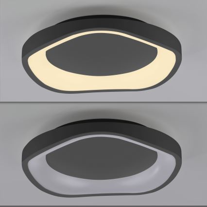 Schöner Wohnen 14233-18 - Plafonieră LED dimabilă MONTA, 21 W, 230 V, Ø 40 cm, negru