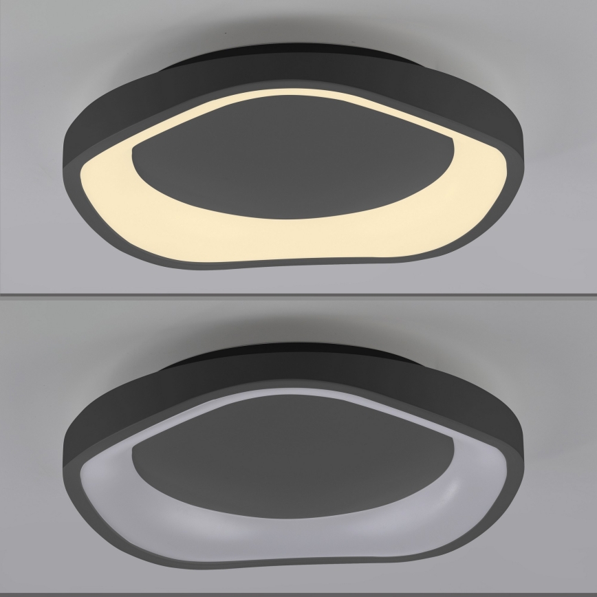 Schöner Wohnen 14233-18 - Plafonieră LED dimabilă MONTA, 21 W, 230 V, Ø 40 cm, negru