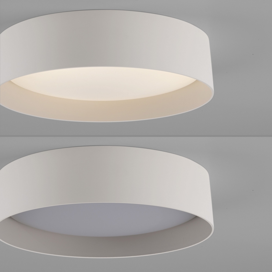 Schöner Wohnen 14593-39 - Plafonieră LED dimabilă TAVOLI LED/10W/230V 2700-6500K Ø 28,5 cm, gri + telecomandă