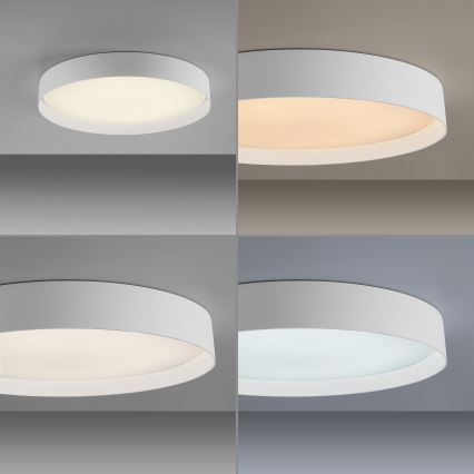Schöner Wohnen TAVOLI 14595-16 - Plafonieră LED dimabilă, 34 W, 230 V, 2700–6500 K, Ø 49 cm, albă, telecomandă inclusă