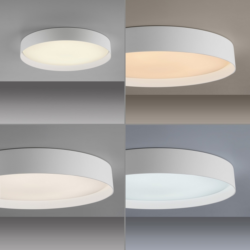 Schöner Wohnen TAVOLI 14595-16 - Plafonieră LED dimabilă, 34 W, 230 V, 2700–6500 K, Ø 49 cm, albă, telecomandă inclusă