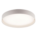 Schöner Wohnen 14595-39 - Plafonieră LED dimabilă TAVOLI LED/34W/230V 2700-6500K diam. 49 cm gri + telecomandă