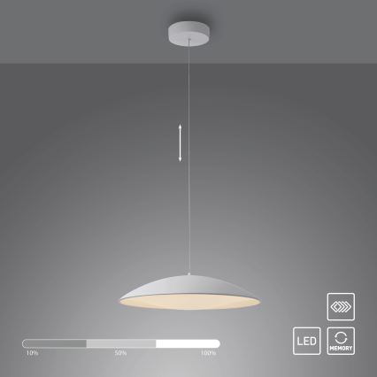 Schöner Wohnen 14607-16 - LENTE - lampă suspendată LED reglabilă pe cablu, 23W/230V, Ø 50 cm, albă