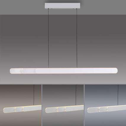 Schöner Wohnen 12577-16 - Lustru LED reglabil suspendat pe cablu ADRIANA ROUND, 2xLED/24W/230V, 2700/3000/3500/4000/5000K, alb