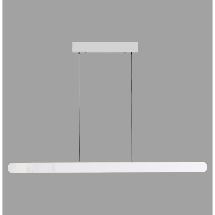 Schöner Wohnen 12577-16 - Lustru LED reglabil suspendat pe cablu ADRIANA ROUND, 2xLED/24W/230V, 2700/3000/3500/4000/5000K, alb