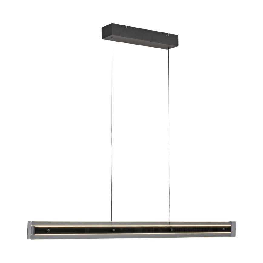 Schöner Wohnen 11316-18 - Lustră LED dimmabilă pe cablu LENA LED/32W/230V 105 cm neagră