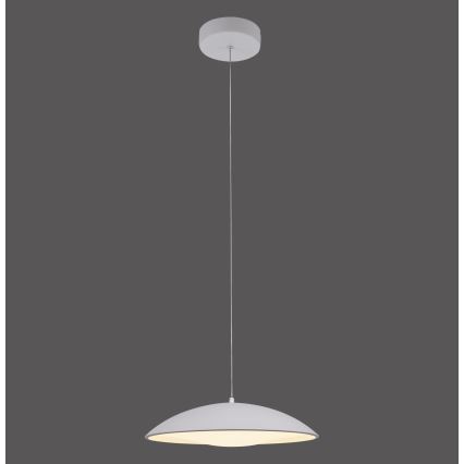 Schöner Wohnen 14606-16 - Lustră LED dimabilă pe cablu LENTE LED/17W/230V Ø 40 cm, alb