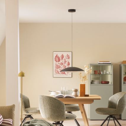 Schöner Wohnen 14606-18 - Lampă suspendată pe cablu LENTE, LED dimabil, 17W/230V, diametru 40 cm, negru