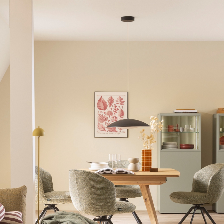 Schöner Wohnen 14606-18 - Lampă suspendată pe cablu LENTE, LED dimabil, 17W/230V, diametru 40 cm, negru