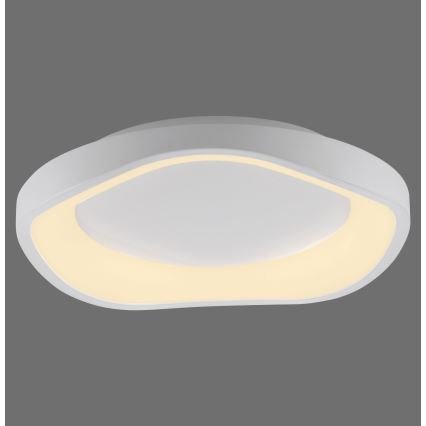 Schöner Wohnen 14233-16 - Plafonieră LED dimabilă MONTA LED/21W/230V, Ø 40 cm, albă