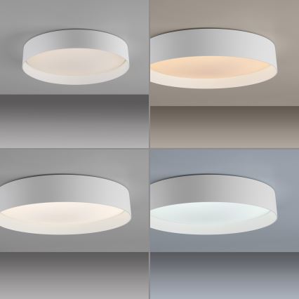 Schöner Wohnen 14594-16 - Plafonieră LED dimabilă TAVOLI, LED 20W, 230V, 2700–6500K, diam. 39 cm, albă, telecomandă inclusă