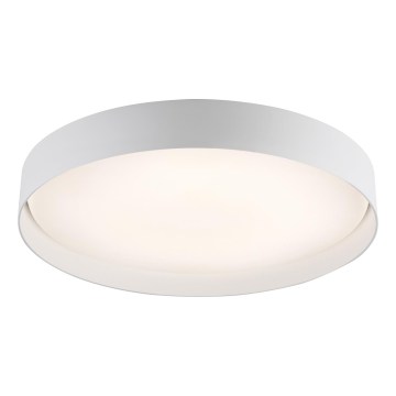 Schöner Wohnen TAVOLI 14595-16 - Plafonieră LED dimabilă, 34 W, 230 V, 2700–6500 K, Ø 49 cm, albă, telecomandă inclusă
