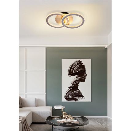 Searchlight - Plafonieră LED reglabilă SPECS LED/24W/230V 3000K 25x42,5 cm