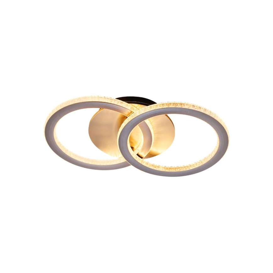 Searchlight - Plafonieră LED reglabilă SPECS LED/24W/230V 3000K 25x42,5 cm