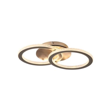 Searchlight - Plafonieră LED reglabilă SPECS LED/24W/230V 3000K 25x42,5 cm