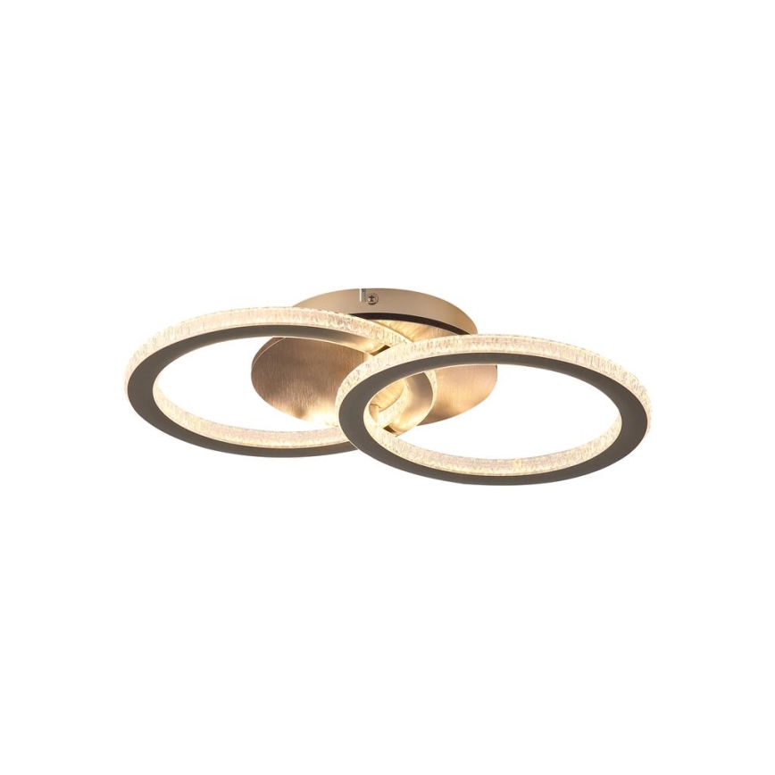 Searchlight - Plafonieră LED reglabilă SPECS LED/24W/230V 3000K 25x42,5 cm