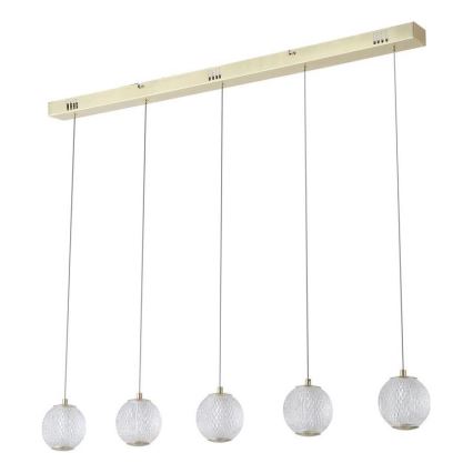 Searchlight - Candelabru LED suspendat pe cablu ALLURE 5xLED/4,2W/230V