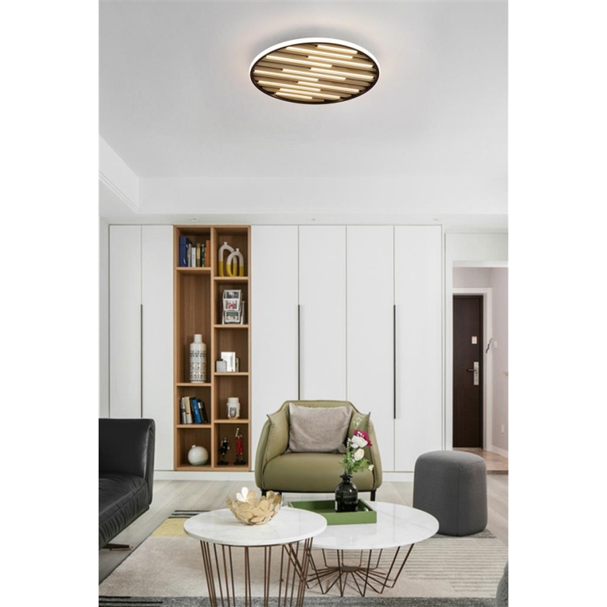 Searchlight - Plafonieră LED compatibilă cu dimmer EQUALISE LED/33W/230V