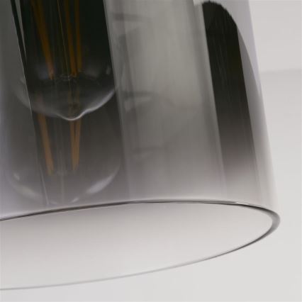 Searchlight - Plafonieră SWEDEN 1x E27/60W/230V, Ø 22 cm, negru/fumuriu