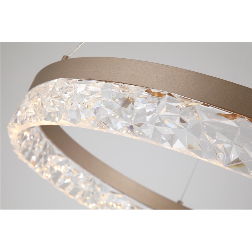 Searchlight - MADELEJNE Lustră LED reglabilă suspendată pe cablu LED/25W/230V