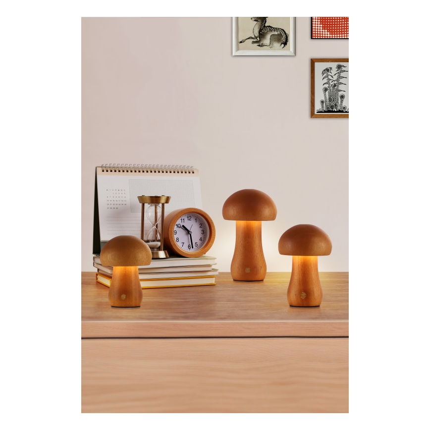 Searchlight - Set de 3 lămpi de masă LED MUSHROOM, LED/1,1W/5V, 800 mAh