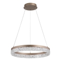 Searchlight - MADELEJNE Lustră LED reglabilă suspendată pe cablu LED/25W/230V