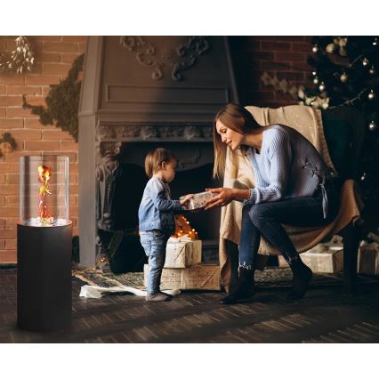 Șemineu pe bioetanol ROMA 26,5x80,5 cm 2kW negru + husă de protecție