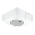 Senzor de lumină Steinel 057411 DUAL-E DALI2 alb dreptunghiular