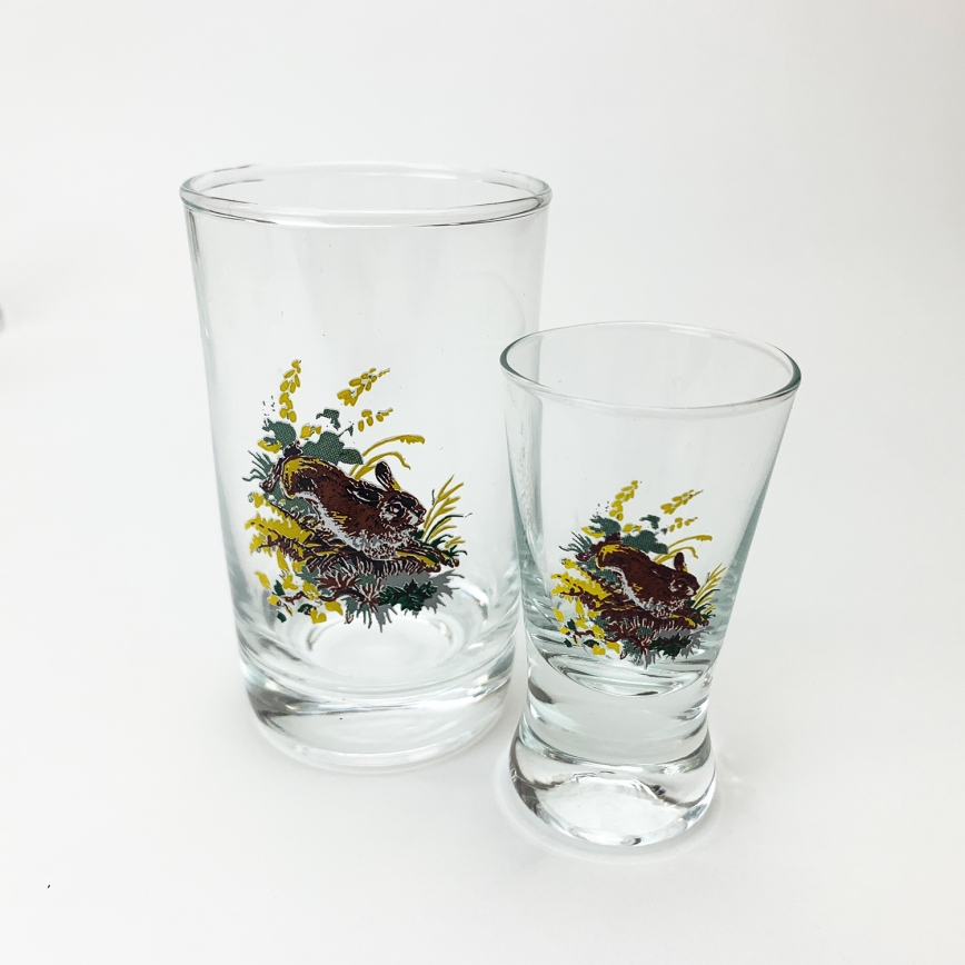 Set de 6 pahare mari și 6 pahare mici pentru shoturi, transparente, cu modele de animale