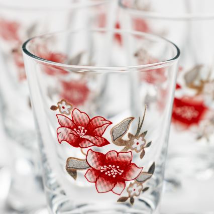 Set 6x pahar pentru tărie, transparent cu motiv de buchet nr. 2