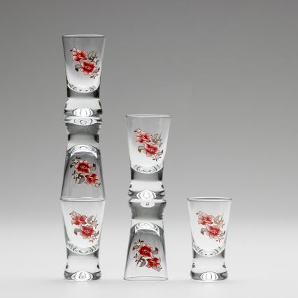 Set 6x pahar pentru tărie, transparent cu motiv de buchet nr. 2