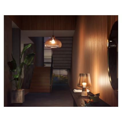 Set de 2 becuri LED reglabile Philips Hue White E27/9,5W/230V 2700K