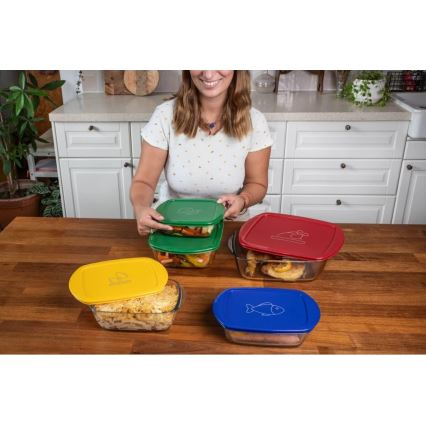 Set de 2 caserole din sticlă pentru alimente PYREX, 1,2/2,5 l
