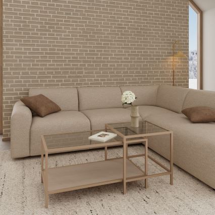 Set de 2 mese de cafea SARON 90 x 50 cm, gri/transparent