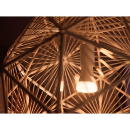 Set de bază Philips Hue WHITE AMBIANCE 2xE27/8W/230V + dispozitiv de interconectare