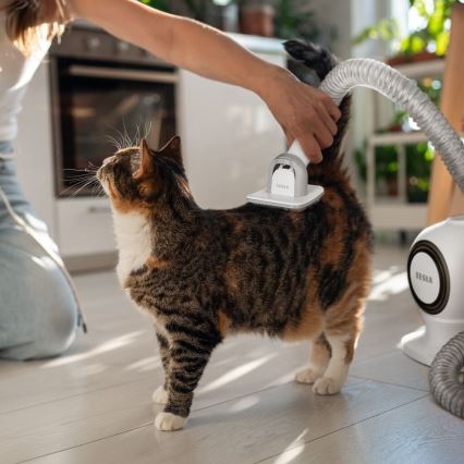 Set de toaletare pentru animale de companie TESLA Electronics PetCare