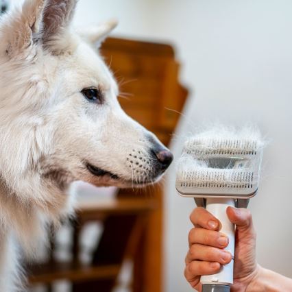 Set de toaletare pentru animale de companie TESLA Electronics PetCare