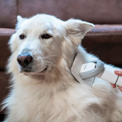 Set de toaletare pentru animale de companie TESLA Electronics PetCare