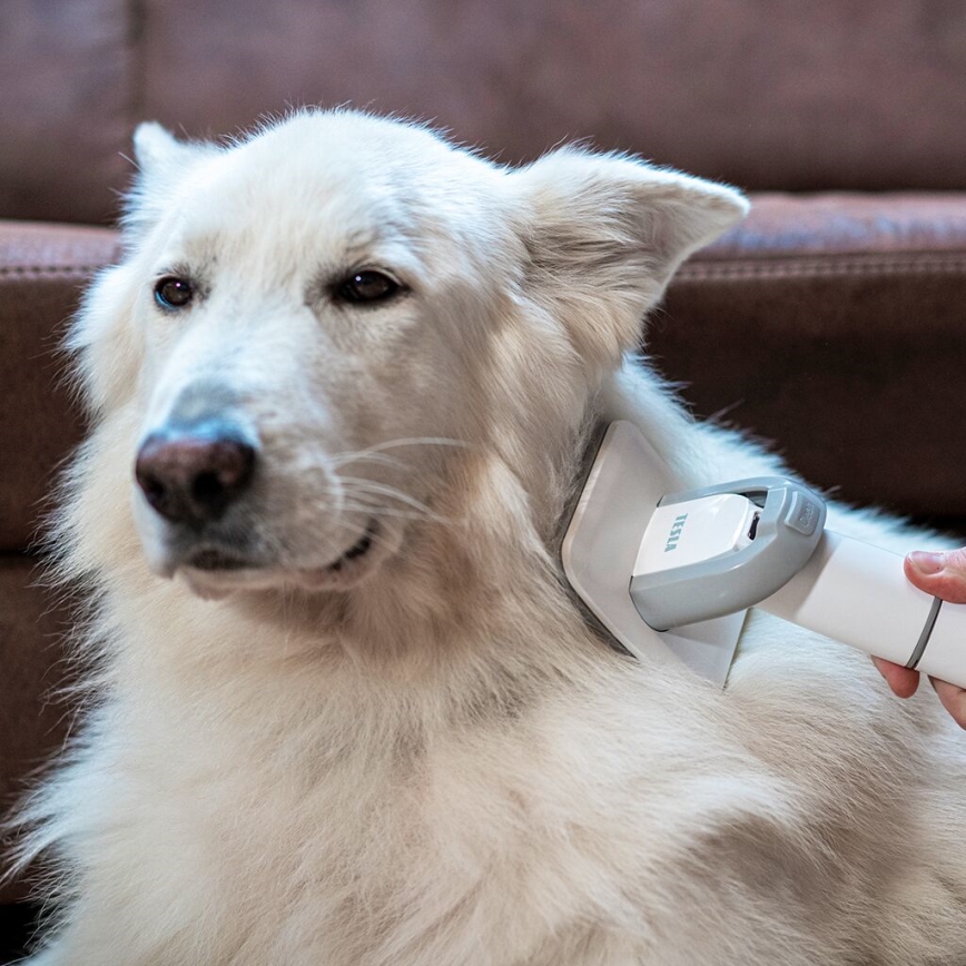 Set de toaletare pentru animale de companie TESLA Electronics PetCare