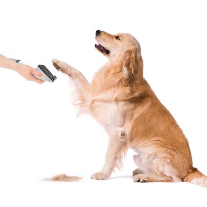 Set de toaletare pentru animale de companie TESLA Electronics PetCare